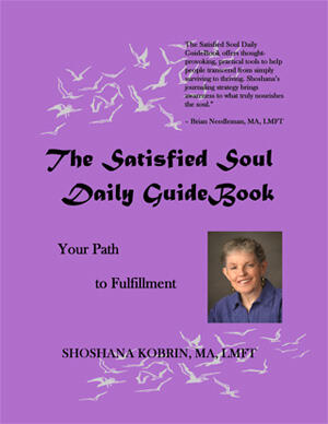 Satisfied Soul Guide Book - Book Cover