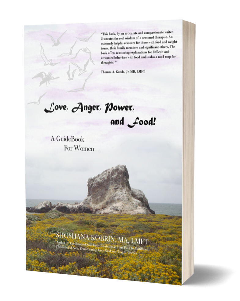 Love, Anger, Power, and Food! - Book Cover